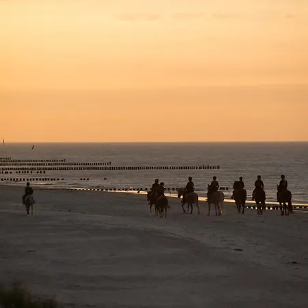 Bernsteinland * Barth